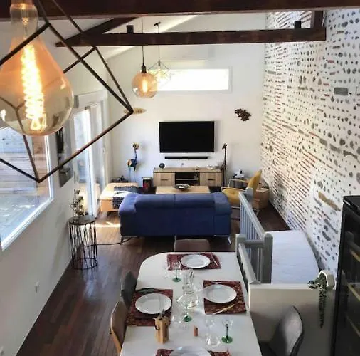 Le Duplexe Terrasse Pau