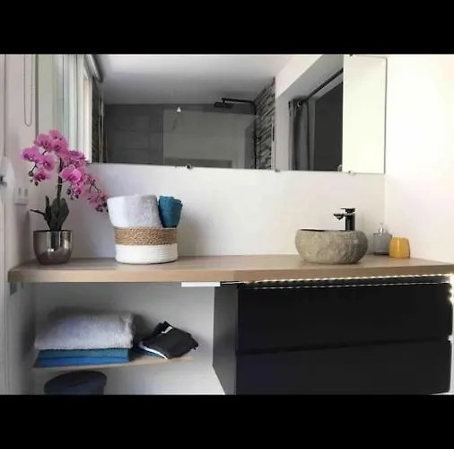 Le Duplexe Terrasse Pau